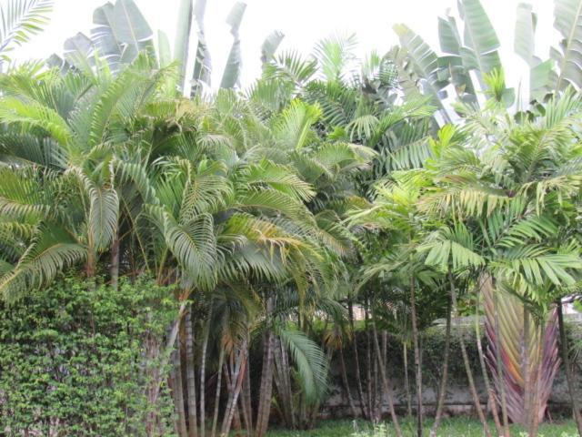 B&B Forest Hill Khao Yai Noen Hom Екстериор снимка