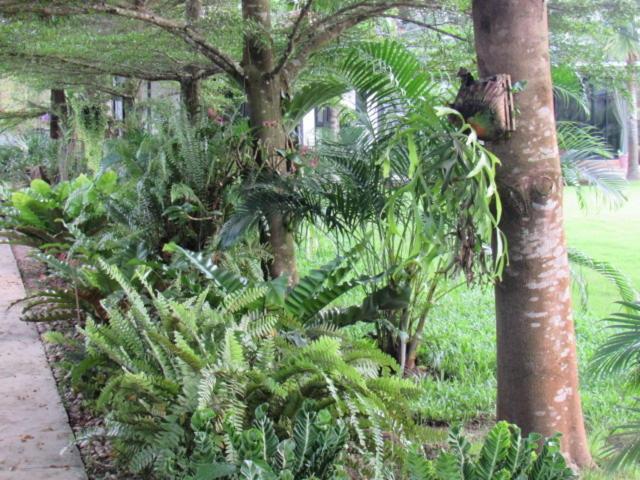 B&B Forest Hill Khao Yai Noen Hom Екстериор снимка